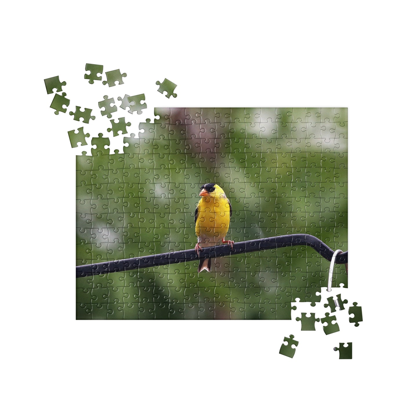 Perched Bird Jigsaw Puzzle (252 piece)
