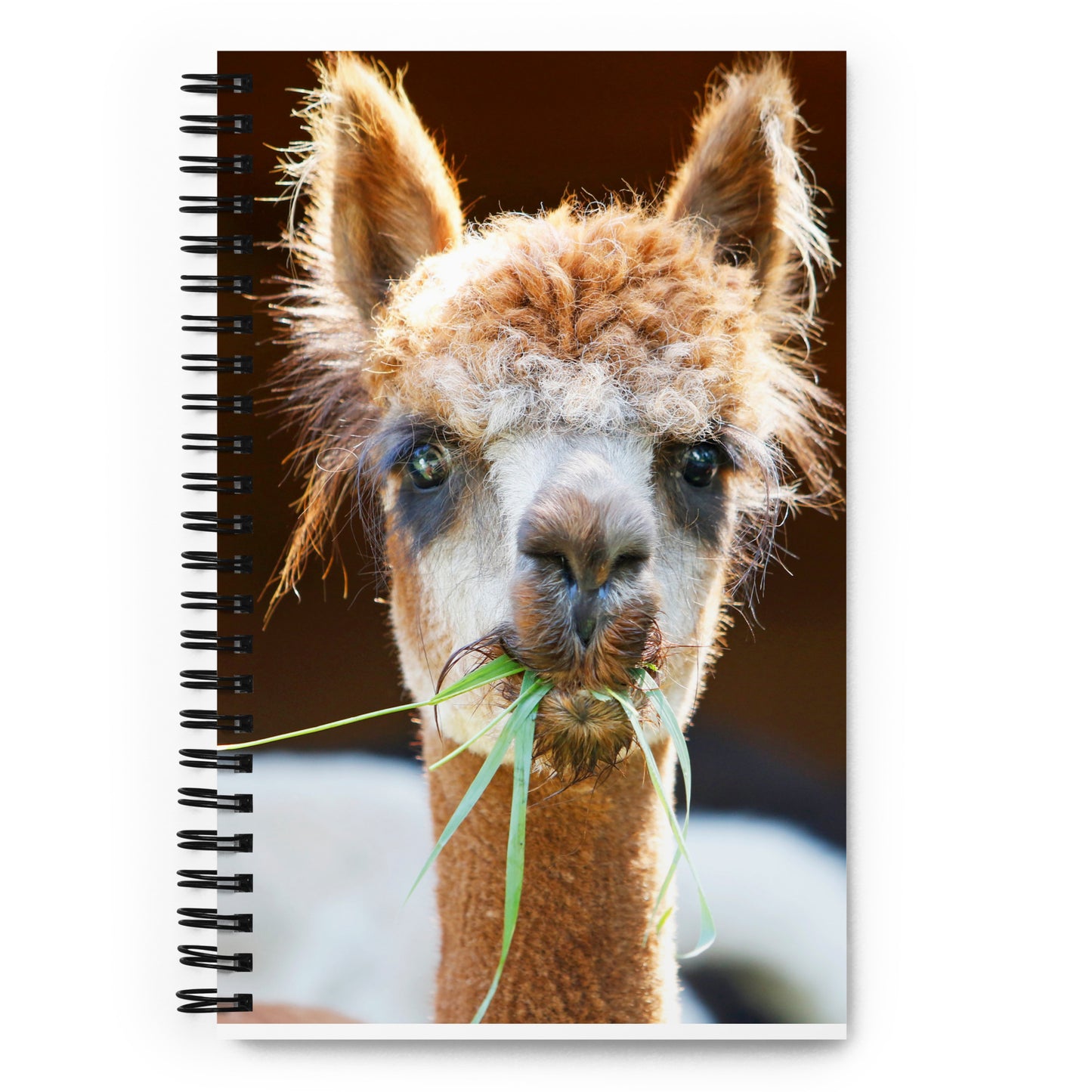 Alpaca Spiral Notebook